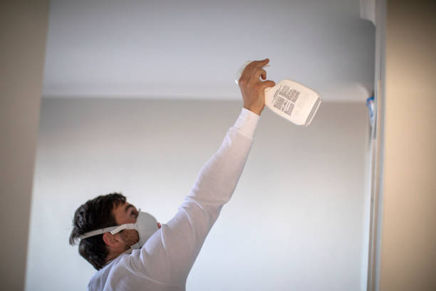 Best Basement Mold Remediation in West Elmira, NY